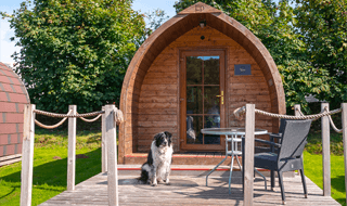 Dog friendly glamping pods